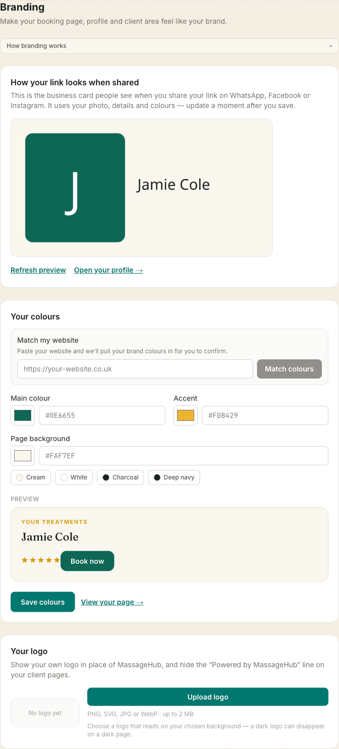 The Branding page showing the shared-link preview, main colour and accent pickers, a light-or-dark background choice with a live preview, and the logo upload