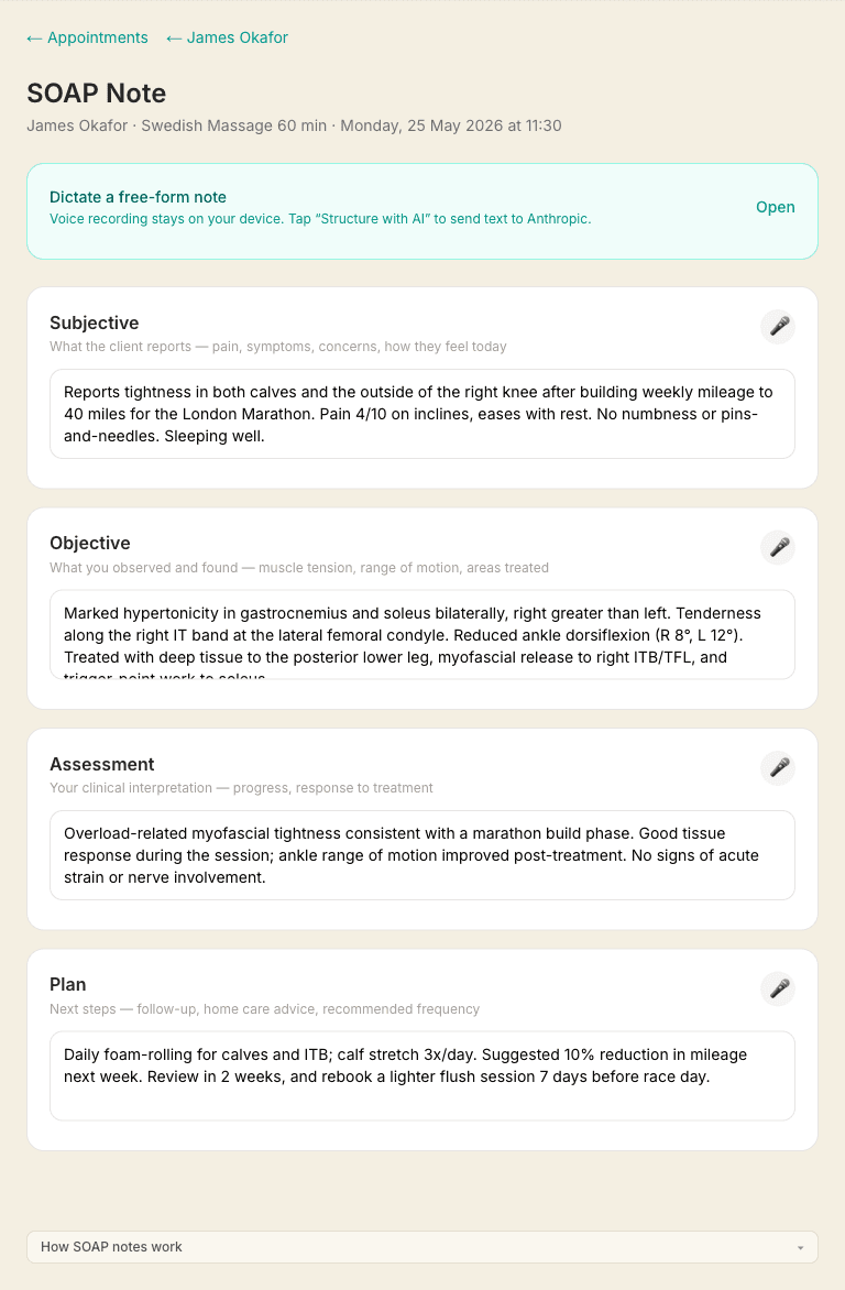 A completed SOAP note for an example client, with subjective, objective, assessment and plan sections filled in